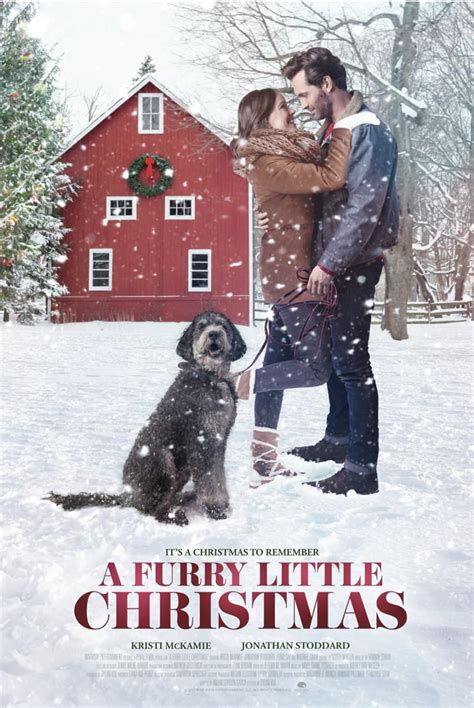 Furry Little Christmas (TV Movie 2021) - IMDb