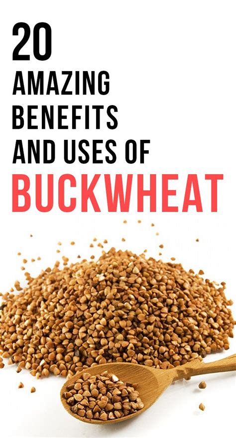 20 Amazing Benefits And Uses of Buckwheat | Buckwheat benefits ...