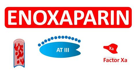 Enoxaparin - Mechanism, precautions, side effects & uses - YouTube