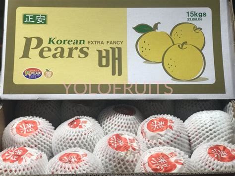 Korea Singo Pear Jumbo (Set of 2) | YOLOFRUITS