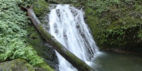 3 Fabulous Waterfall Hikes on Mt. Tamalpais - 7x7 Bay Area