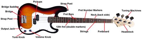 Bass Guitar Lessons - Parts of the Bass Guitar - Bass Player Center