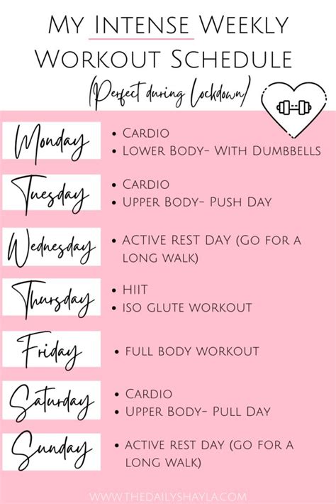 My Intense 7 Day Workout Schedule • The Daily Shayla | Weekly workout ...