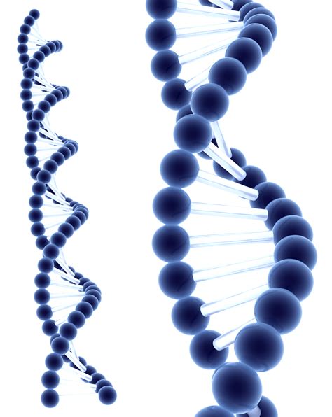 Dna PNG HD Transparent Dna HD.PNG Images. | PlusPNG