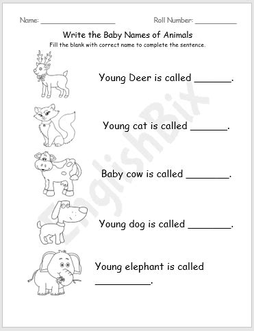 Baby Animal Names Writing Worksheet - EnglishBix