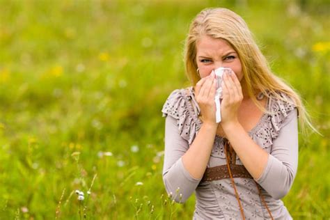 Sneezing Allergy Treatment in Ayurveda - Healthgk