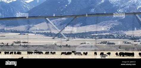 The Rocky Mountains in Montana, USA Stock Photo - Alamy