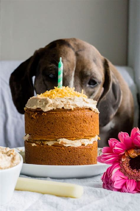 Gateau Anniversaire Pour Chien Fait Maison