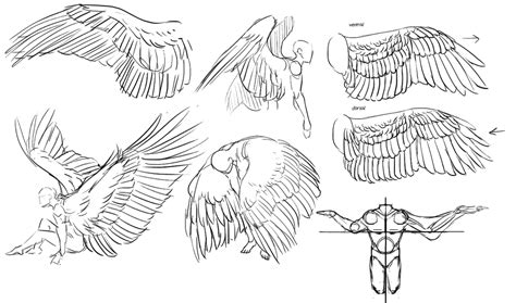 wings by fox-wings.deviantart.com on @DeviantArt | Wings drawing, Art ...