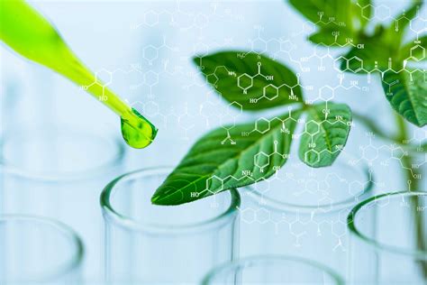 Antwerp incubator for green chemistry will open in 2020 - Agro & Chemistry