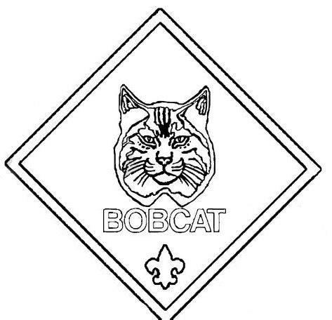 bobcat coloring page | Cub scouts tiger, Scout, Cub scouts