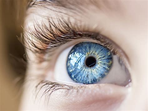 Blue Eyes Pic – Telegraph