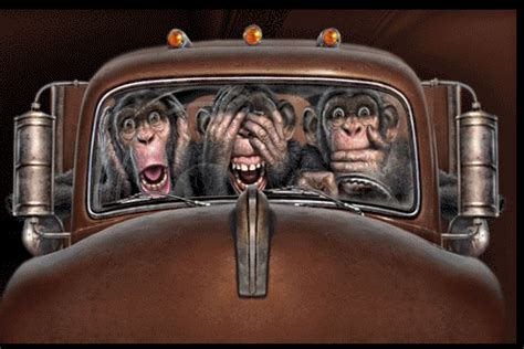 never let a monkey drive (in Animated GIFs)