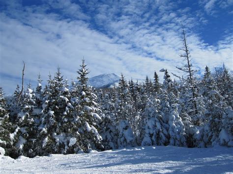 Free Images : tree, forest, snow, winter, frost, mountain range, weather, fir, season, trees ...