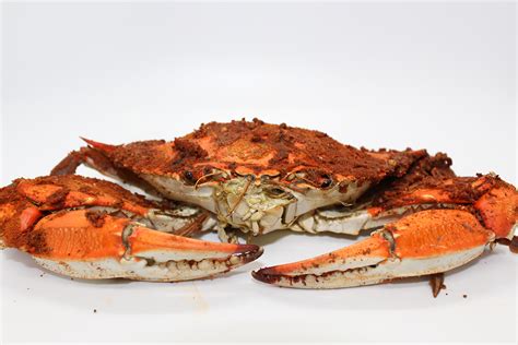 Maryland Steamed Crabs - Cruising Crab