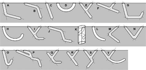 Architectural types of ghost crab burrows. Straight lines represent the ...