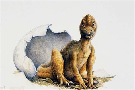 75-million-year old eggshells suggest most dinosaurs were warm-blooded | New Scientist