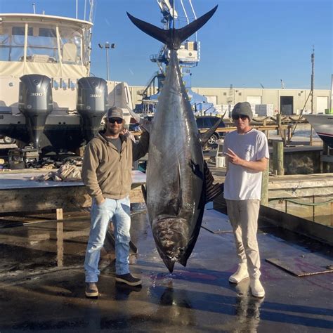 Everything You Need to Know About Bluefin Tuna Season 2023