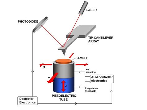 Atomic Force Microscope (AFM)