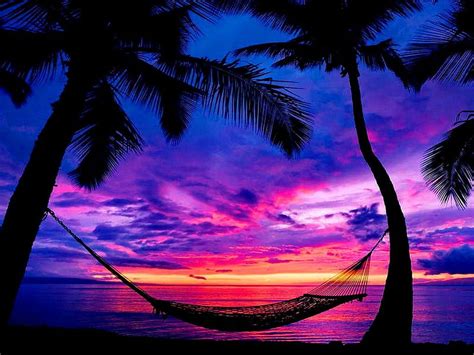 Hammock at sunset, glow, shore, dusk, bonito, sunset, twilight, hammock ...