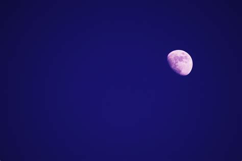 8,000+ Best Moon Images · 100% Free Download · Pexels Stock Photos