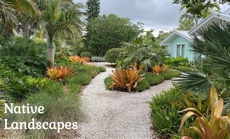 Why Use Florida Native Plants in Your Landscaping?