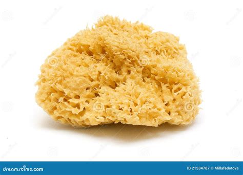 Natural Bath Sponge Royalty Free Stock Photography - Image: 21534787