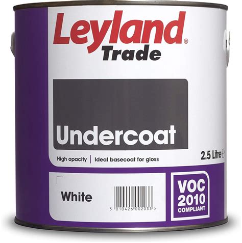 6 Best Undercoat Paints Reviewed (2024) - Best Paint For