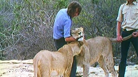 Christian the Lion Reunion Ext ... - Animal Planet Presents | Animal Planet