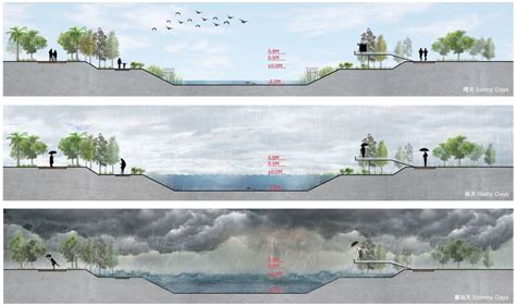 Chapman Taylor | What are sponge cities and why are they the future of