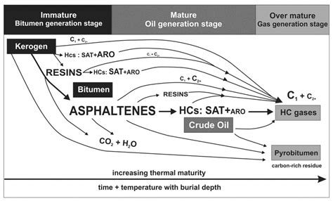 General scheme of kerogen degradation and petroleum formation from Type... | Download Scientific ...