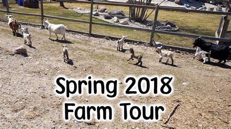 Spring Farm Tour 2018 - YouTube