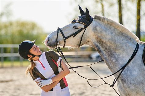 Best Horse Riding and Equestrian in the South Florida Suburbs