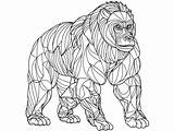 Remarkable Gorilla To Color  Coloring Page sketch template