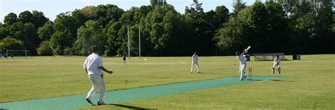 Cricket Strategy – City of Toronto