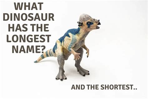 What Is The Dinosaur With The Longest Name? - Dinosaur Facts For Kids