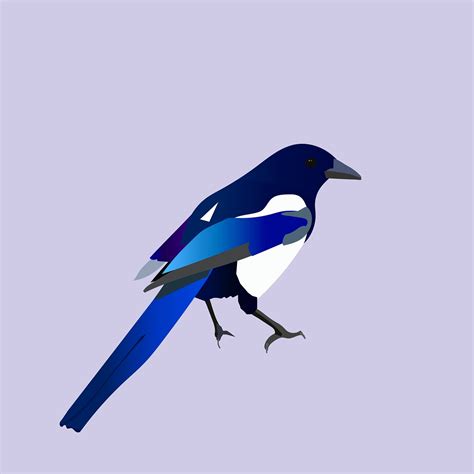 Download Magpie, Bird, Drawing. Royalty-Free Stock Illustration Image ...