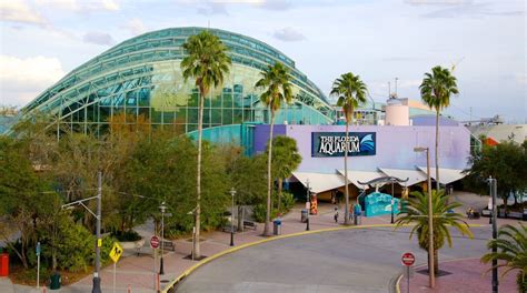 Florida Aquarium in Tampa | Expedia