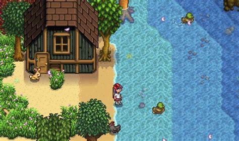 Stardew Valley players are delighted to discover that ducks can now ...