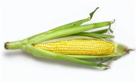 Corn Allergy and Eating a Corn Free Diet