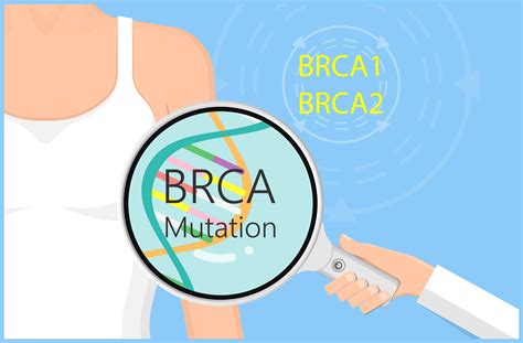 What is the Difference Between BRCA1 and BRCA2? | Roswell Park ...