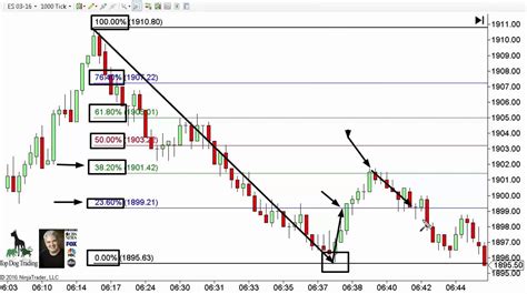 Day Trading Rules - Secret to Using Fibonacci Levels - YouTube