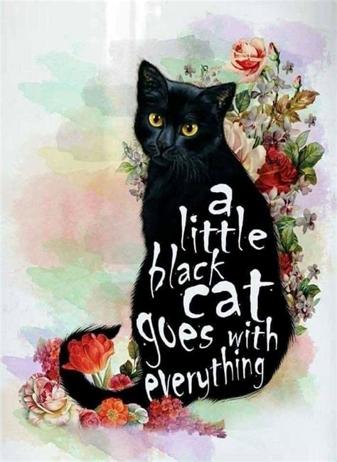 "A little black cat goes with everything." #blackcat #cat #quotes #catwisdom #a ... - Cat Quotes ...