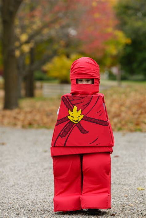 Átlátni Raktár nyelv ninjago costum összeszerelni Por hosszúság