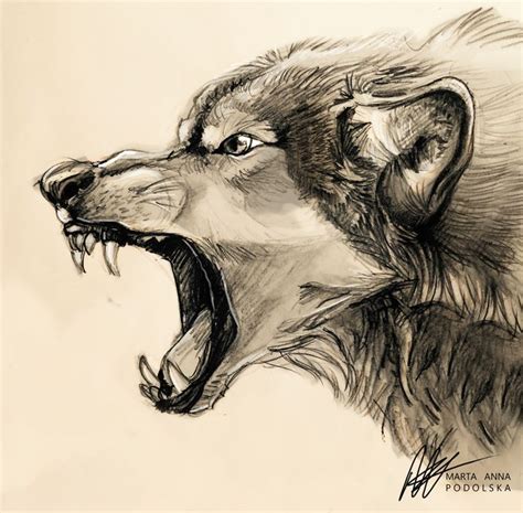 Wolf Snarl Art Print by Dreamgiver's ART - X-Small | Wolf drawing, Wolf sketch, Wolf artwork