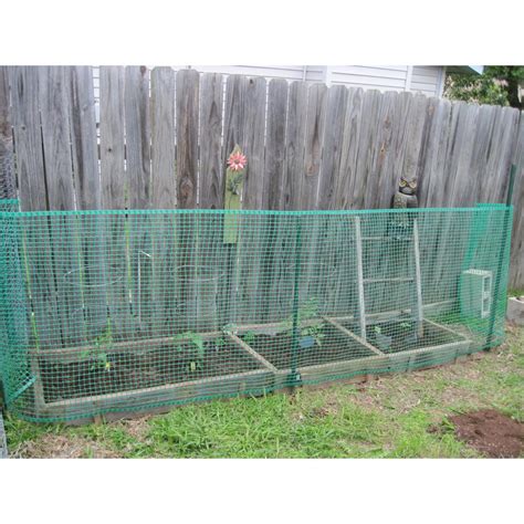 BOEN 40 in. x 25 ft. Green Plastic Garden Fence-GF-50001 - The Home Depot