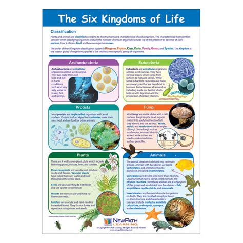 The Six Kingdoms of Life Poster, Laminated | NewPath Learning