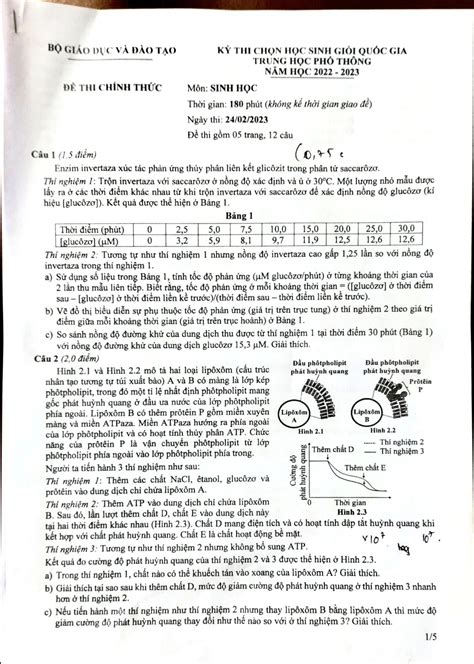 Đề thi học sinh giỏi môn Sinh học THPT cấp quốc gia năm học 2022-2023