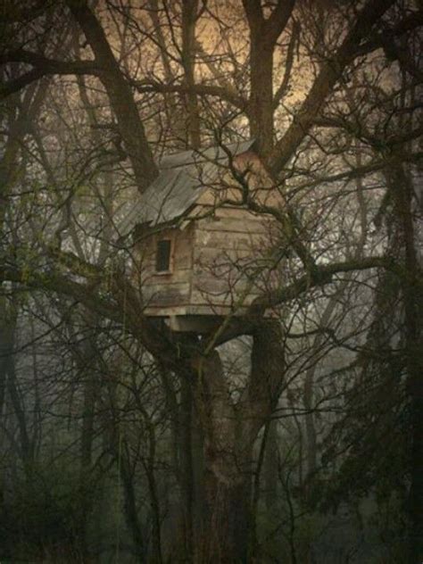 Spooky tree house | Cool tree houses, Tree house, Beautiful tree houses