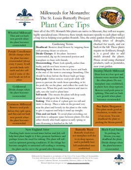 Plant Care Tips